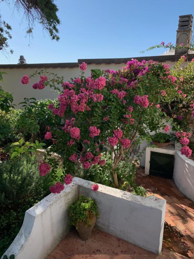 Il Geranio Bed & Breakfast Anacapri  Eksteriør bilde