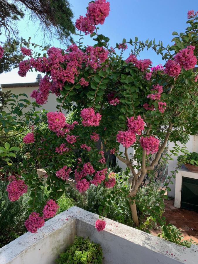 Il Geranio Bed & Breakfast Anacapri  Eksteriør bilde